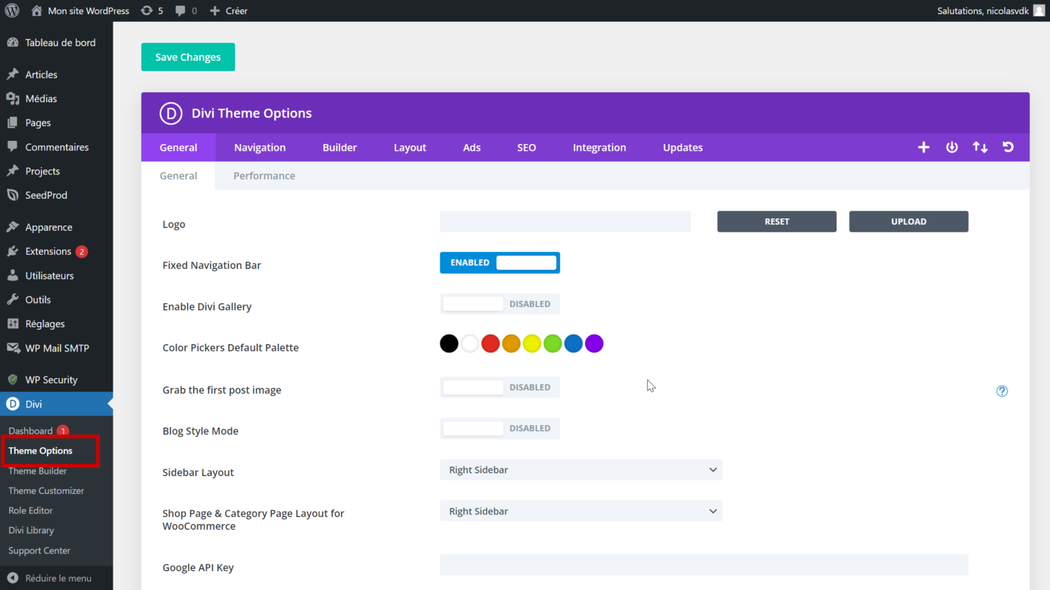 2024-08-18 13_40_18-Theme Options ‹ Mon site WordPress — WordPress